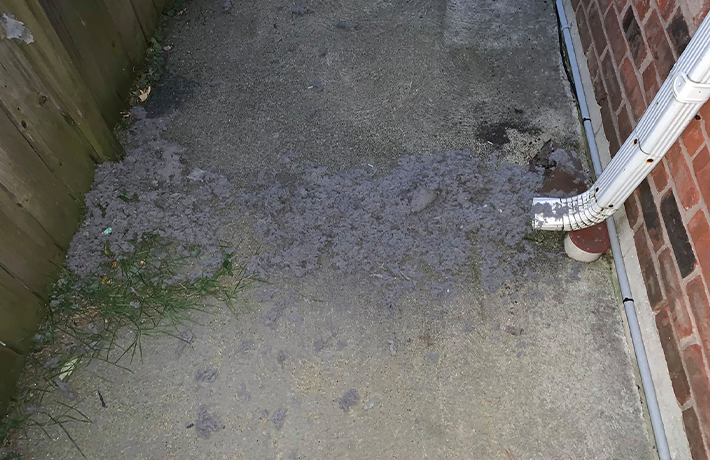 dryer-vent-cleaning-after-windsor-ontario-steam